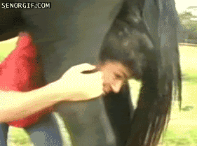 shithead.gif image by czwblitz